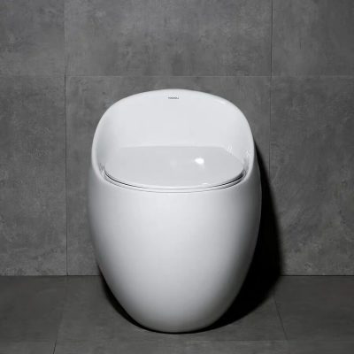 אסלת מונובלוק