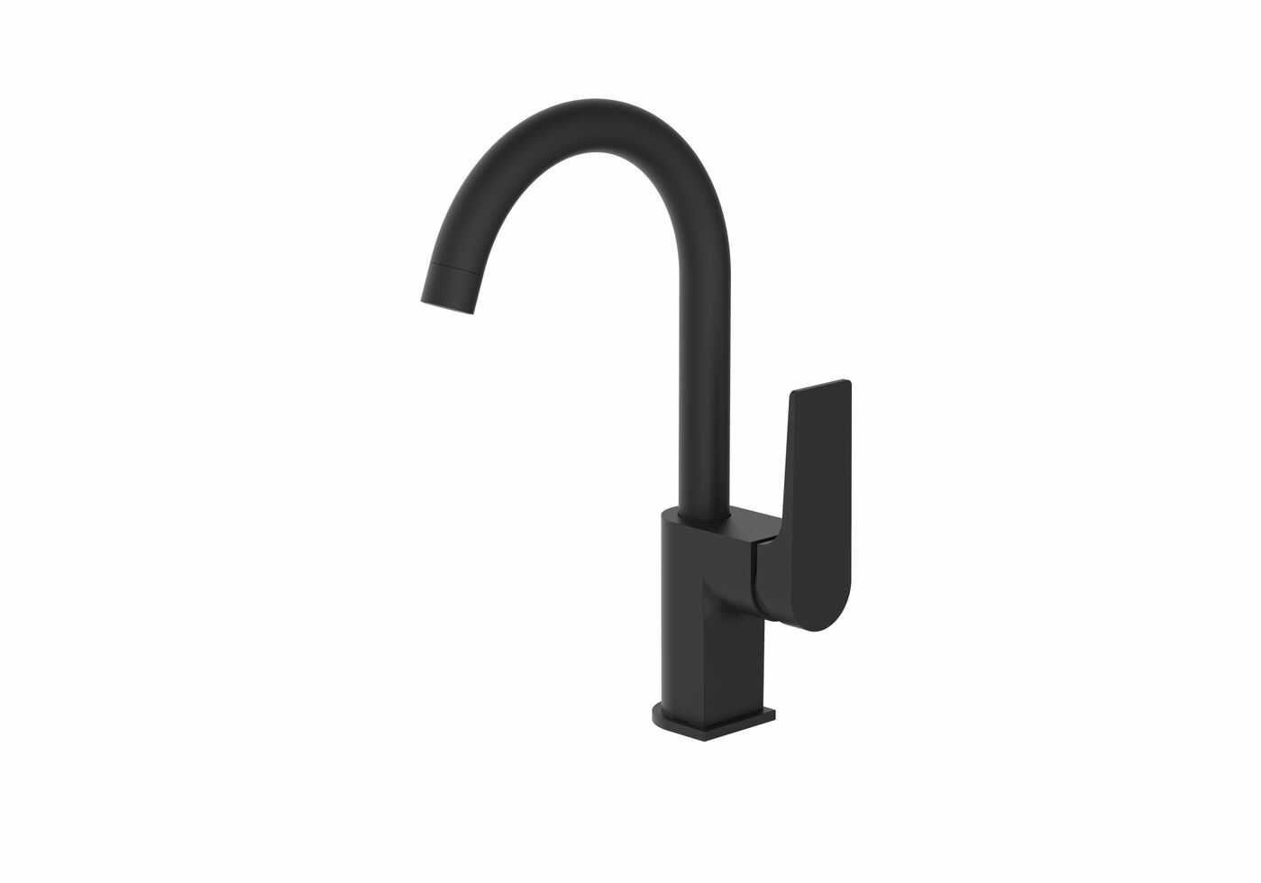 ברז פרח ברבור שחור מט